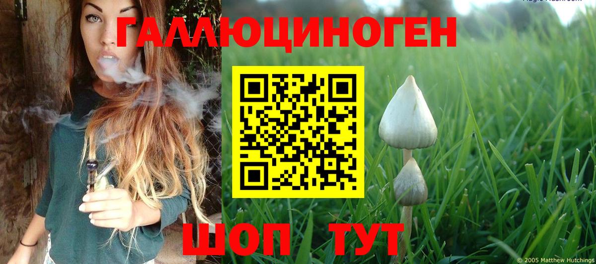 Псилоцибиновые грибы MAGIC MUSHROOMS Крымск