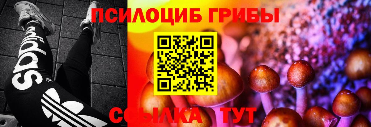 магазин продажи наркотиков  Вход с VPN  Крымск  Галлюциногенные грибы мухоморы 